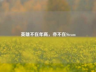 英雄不在年高，亦不在Steam