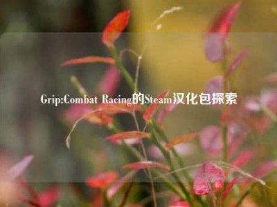 Grip:Combat Racing的Steam汉化包探索