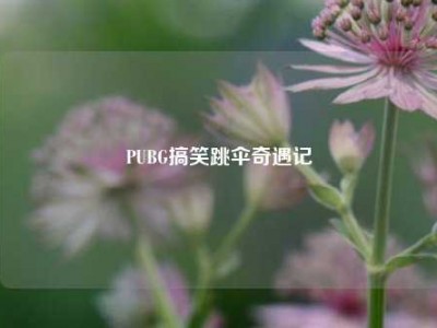PUBG搞笑跳伞奇遇记