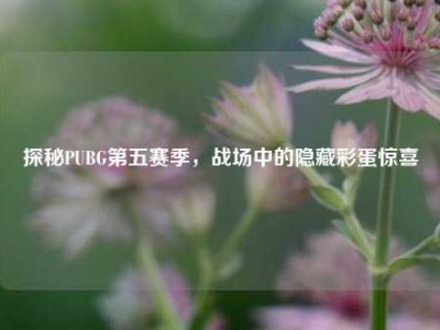 探秘PUBG第五赛季，战场中的隐藏彩蛋惊喜