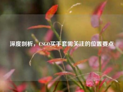 深度剖析，CSGO买手套需关注的位置要点
