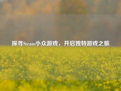 探寻Steam小众游戏，开启独特游戏之旅