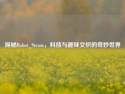 探秘Robot_Steam，科技与趣味交织的奇妙世界