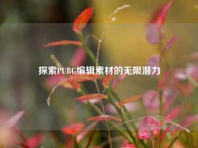 探索PUBG编辑素材的无限潜力