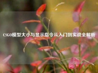 CSGO模型大小与显示指令从入门到实战全解析