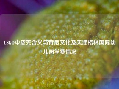 CSGO中皮克含义与背后文化及天津格林国际幼儿园学费情况