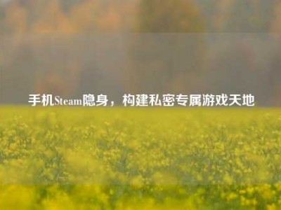 手机Steam隐身，构建私密专属游戏天地