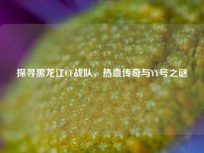 探寻黑龙江CF战队，热血传奇与YY号之谜