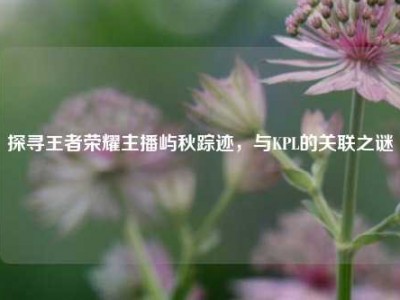 探寻王者荣耀主播屿秋踪迹，与KPL的关联之谜
