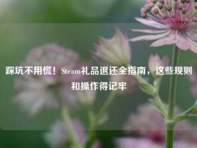 踩坑不用慌！Steam礼品退还全指南，这些规则和操作得记牢