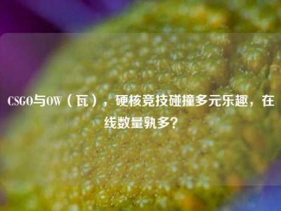 CSGO与OW（瓦），硬核竞技碰撞多元乐趣，在线数量孰多？