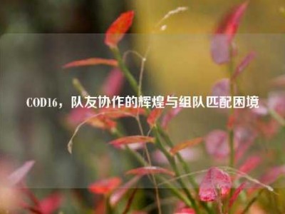 COD16，队友协作的辉煌与组队匹配困境