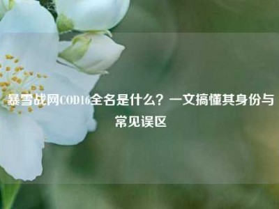 暴雪战网COD16全名是什么？一文搞懂其身份与常见误区