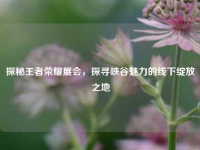 探秘王者荣耀展会，探寻峡谷魅力的线下绽放之地