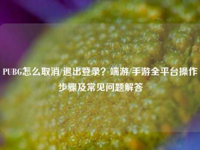 PUBG怎么取消/退出登录？端游/手游全平台操作步骤及常见问题解答