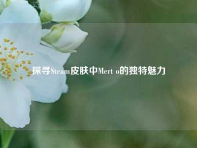 探寻Steam皮肤中Mert o的独特魅力
