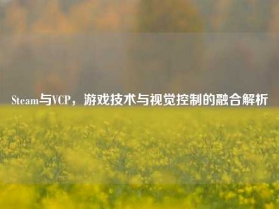 Steam与VCP，游戏技术与视觉控制的融合解析