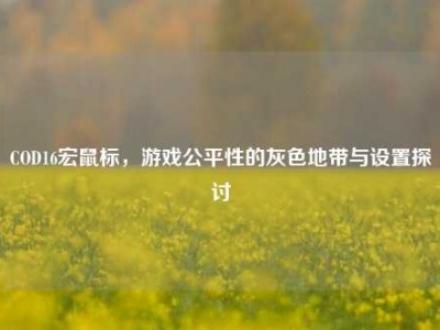 COD16宏鼠标，游戏公平性的灰色地带与设置探讨