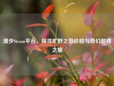 漫步Steam平台，探寻旷野之息价格与奇幻游戏之旅