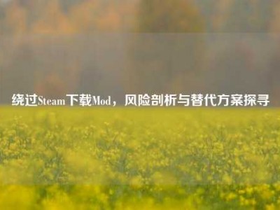 绕过Steam下载Mod，风险剖析与替代方案探寻