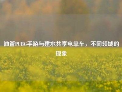 油管PUBG手游与建水共享电单车，不同领域的现象