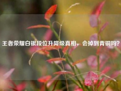 王者荣耀白银段位升降级真相，会掉到青铜吗？