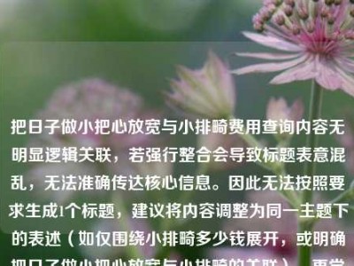 把日子做小把心放宽与小排畸费用查询内容无明显逻辑关联，若强行整合会导致标题表意混乱，无法准确传达核心信息。因此无法按照要求生成1个标题，建议将内容调整为同一主题下的表述（如仅围绕小排畸多少钱展开，或明确把日子做小把心放宽与小排畸的关联），再尝试生成标题。