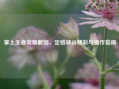 掌上王者荣耀截图，定格峡谷精彩与操作指南