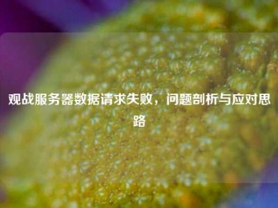 观战服务器数据请求失败，问题剖析与应对思路