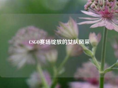 CSGO赛场绽放的女队风采