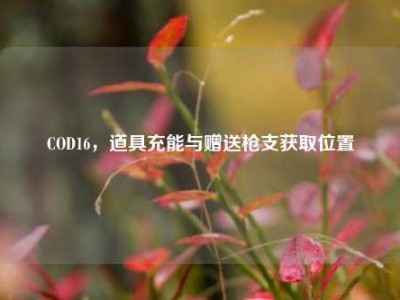 COD16，道具充能与赠送枪支获取位置