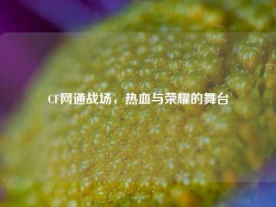 CF网通战场，热血与荣耀的舞台