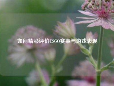 如何精彩评价CSGO赛事与游戏表现