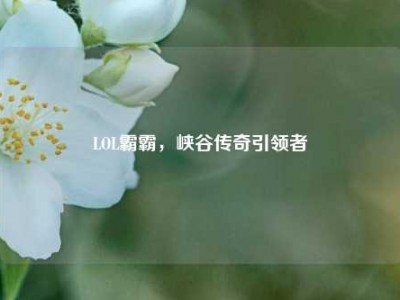 LOL霸霸，峡谷传奇引领者