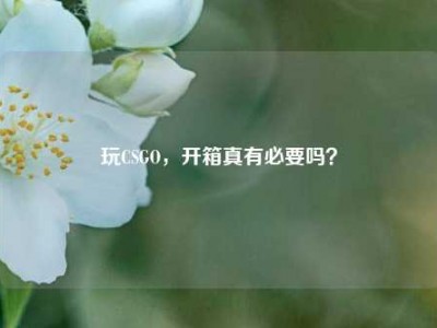 玩CSGO，开箱真有必要吗？
