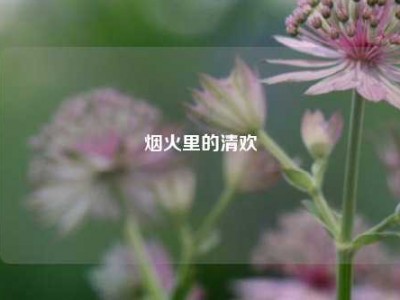 烟火里的清欢