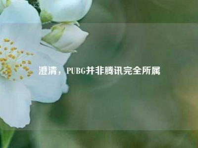 澄清，PUBG并非腾讯完全所属