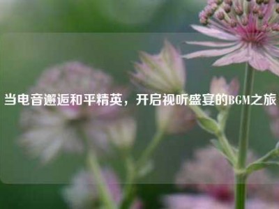 当电音邂逅和平精英，开启视听盛宴的BGM之旅