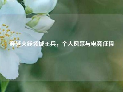 穿越火线领域王兵，个人风采与电竞征程