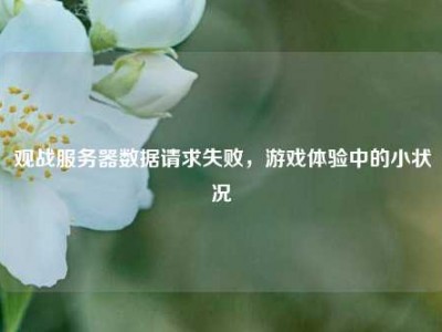 观战服务器数据请求失败，游戏体验中的小状况