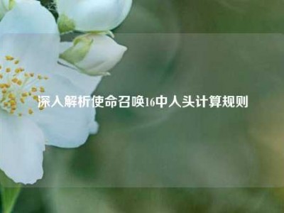 深入解析使命召唤16中人头计算规则