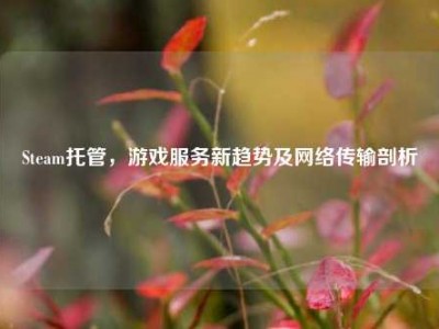 Steam托管，游戏服务新趋势及网络传输剖析