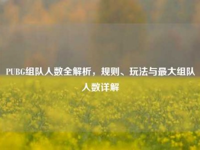 PUBG组队人数全解析，规则、玩法与最大组队人数详解