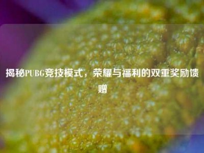 揭秘PUBG竞技模式，荣耀与福利的双重奖励馈赠