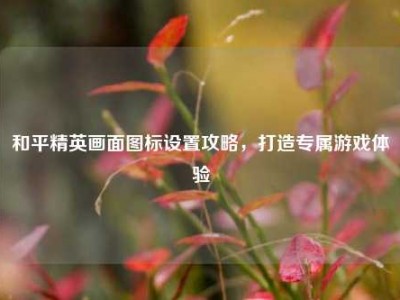 和平精英画面图标设置攻略，打造专属游戏体验