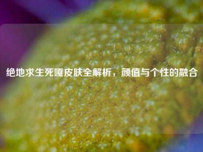 绝地求生死嘎皮肤全解析，颜值与个性的融合