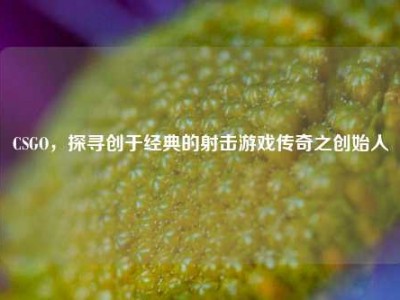 CSGO，探寻创于经典的射击游戏传奇之创始人