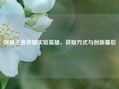 探秘王者荣耀实验英雄，获取方式与创新幕后