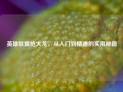 英雄联盟抢大龙，从入门到精通的实用秘籍