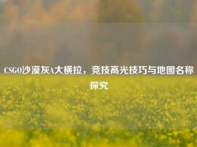 CSGO沙漠灰A大横拉，竞技高光技巧与地图名称探究